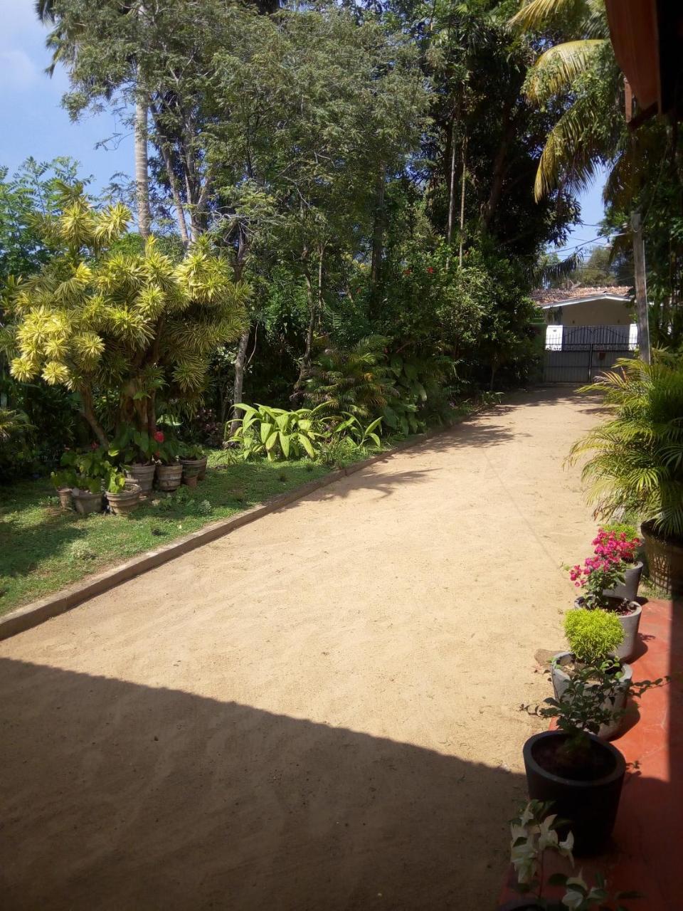 Shenya Villa Μπεντότα Εξωτερικό φωτογραφία